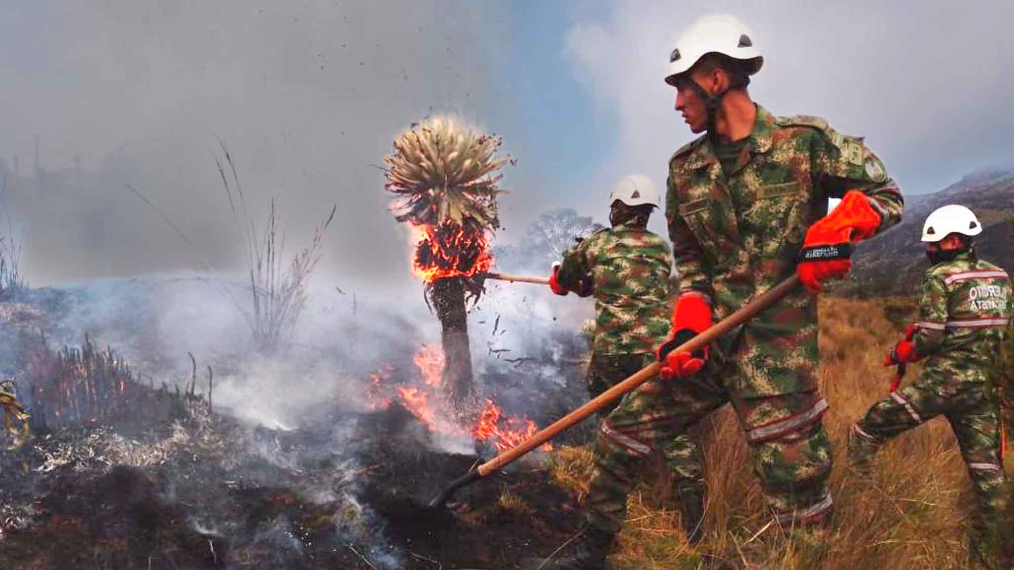Autoridades en pie de lucha contra el incendio forestal en el Páramo Las Alfombras